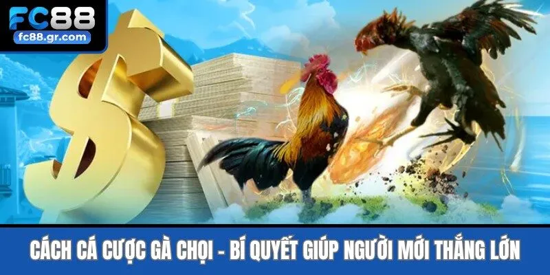 Cách Cá Cược Gà Chọi - Bí Quyết Giúp Người Mới Thắng Lớn