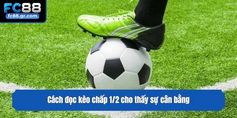 Cách đọc kèo chấp 1/2 cho thấy sự cân bằng