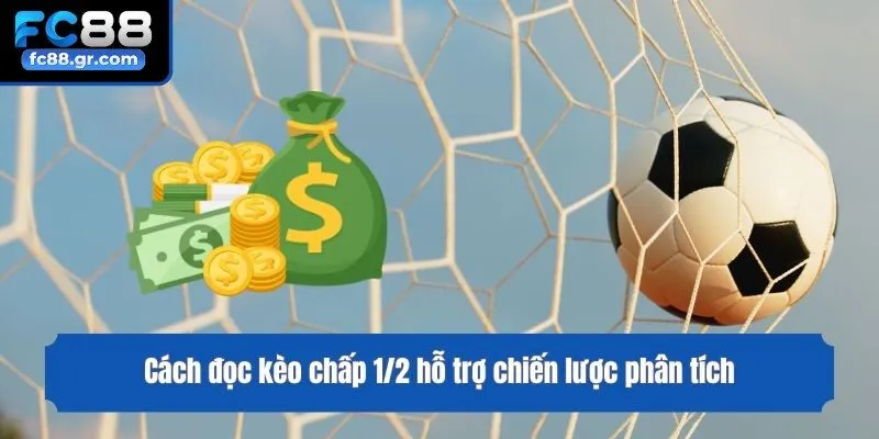 Cách đọc kèo chấp 1/2 hỗ trợ chiến lược phân tích