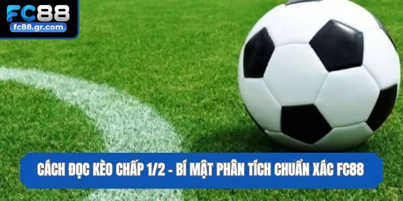 Cách Đọc Kèo Chấp 1/2 - Bí Mật Phân Tích Chuẩn Xác Fc88