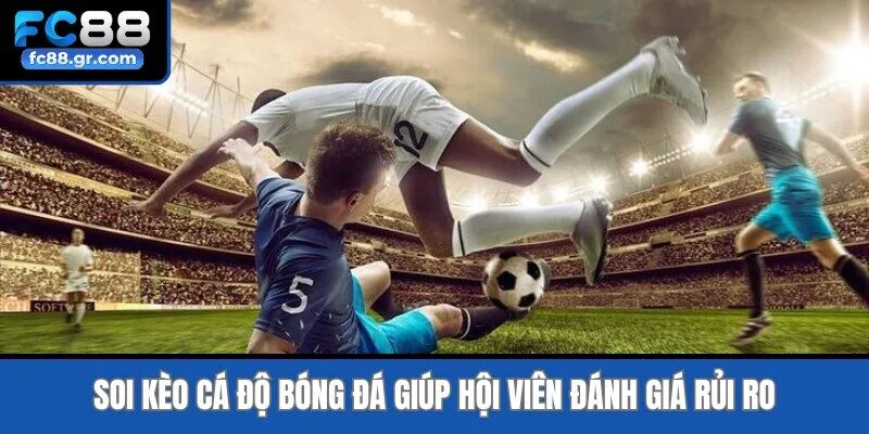 Soi kèo cá độ bóng đá giúp hội viên đánh giá rủi ro