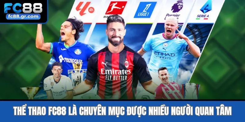 Thể thao Fc88 là chuyên mục được nhiều người quan tâm