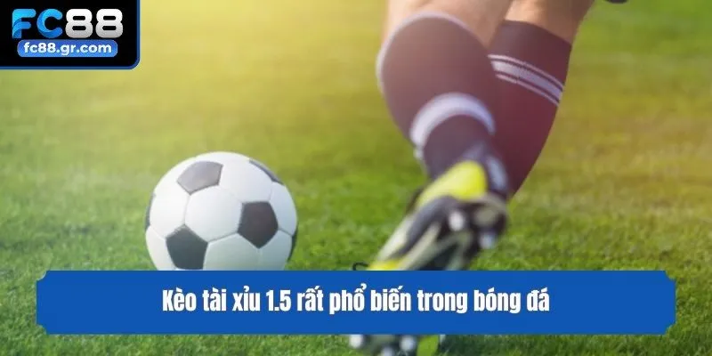 Kèo tài xỉu 1.5 rất phổ biến trong bóng đá