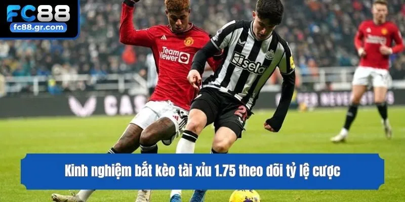 Kinh nghiệm bắt kèo tài xỉu 1.75 theo dõi tỷ lệ cược