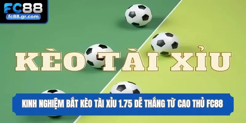 Kinh Nghiệm Bắt Kèo Tài Xỉu 1.75 Dễ Thắng Từ Cao Thủ Fc88
