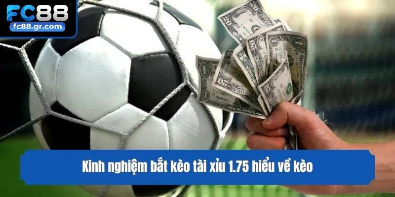 Kinh nghiệm bắt kèo tài xỉu 1.75 hiểu về kèo