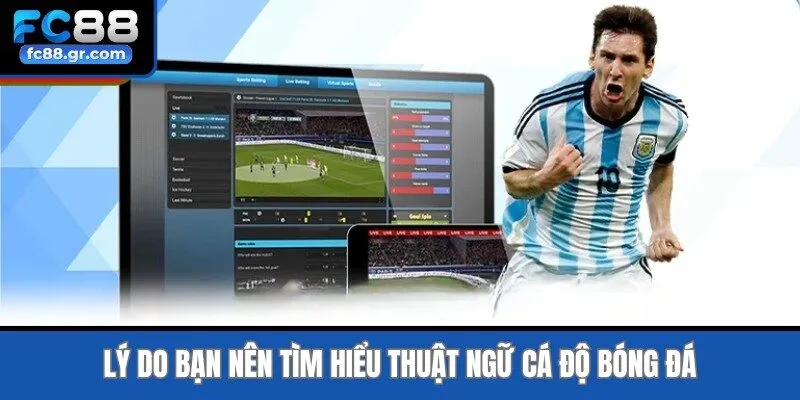 Lý do bạn nên tìm hiểu thuật ngữ cá độ bóng đá