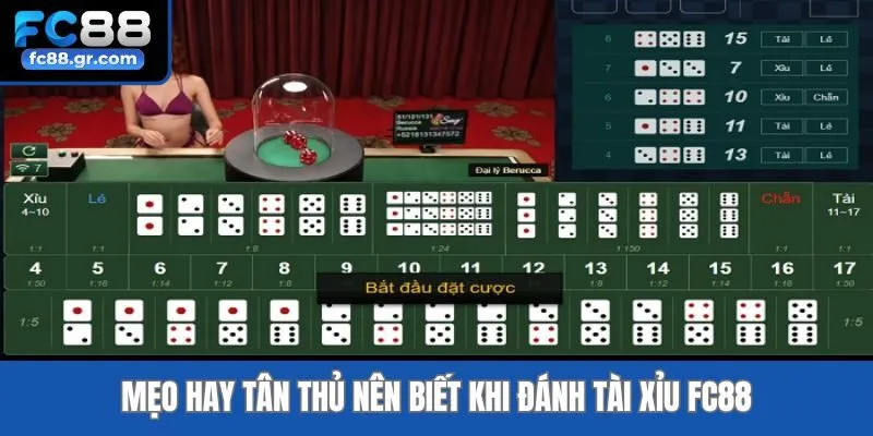 Mẹo hay tân thủ nên biết khi đánh tài xỉu Fc88