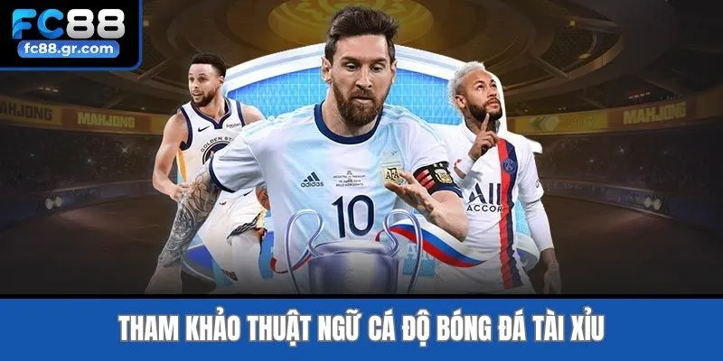 Tham khảo  thuật ngữ cá độ bóng đá tài xỉu