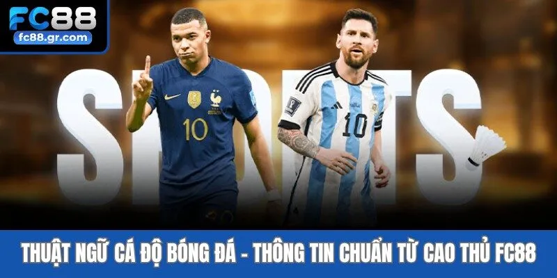Thuật Ngữ Cá Độ Bóng Đá - Thông Tin Chuẩn Từ Cao Thủ Fc88