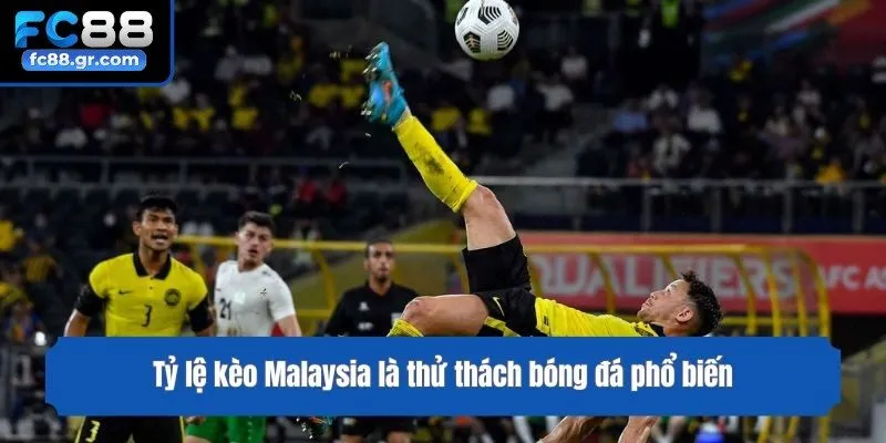 Tỷ lệ kèo Malaysia là thử thách bóng đá phổ biến