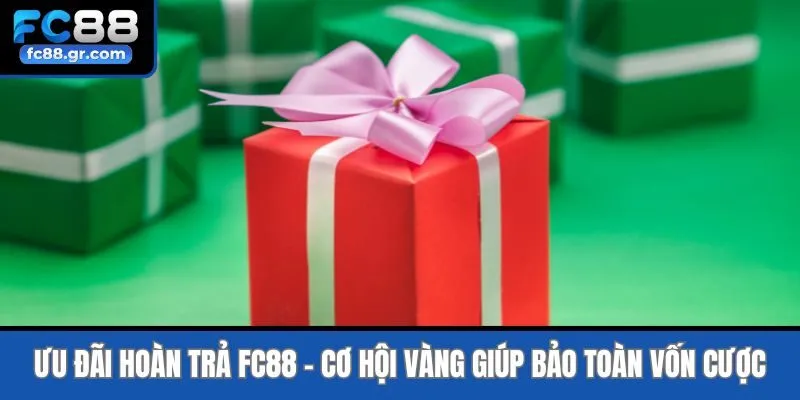 Ưu Đãi Hoàn Trả Fc88 - Cơ Hội Vàng Giúp Bảo Toàn Vốn Cược
